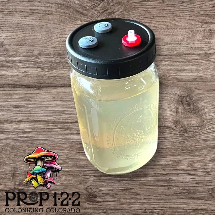 Blank Liquid Culture Jar with Magnetic Stir Rod