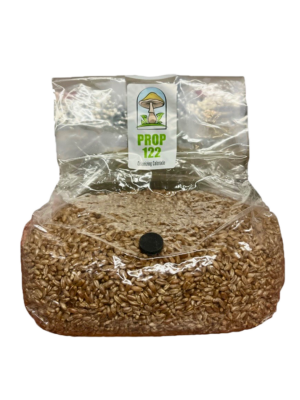 3-Pound-Organic-Sterilized-Rye Grain-Spawn