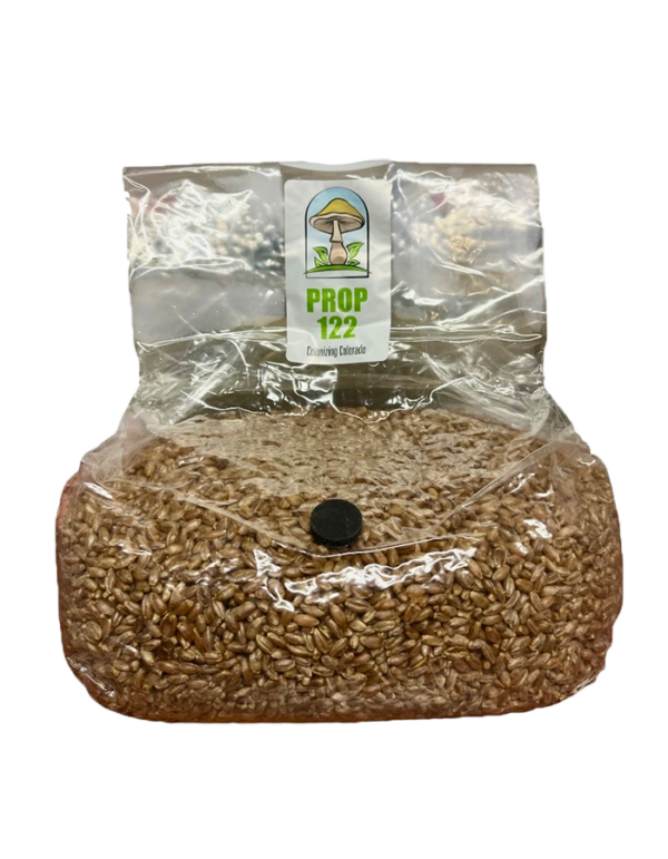 3-Pound-Organic-Sterilized-Rye Grain-Spawn