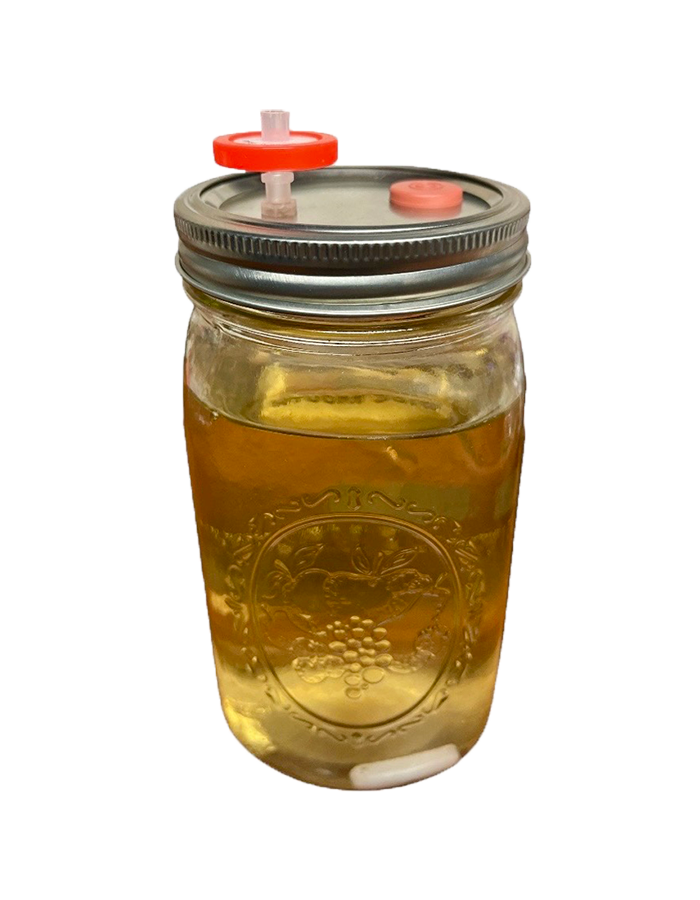 Blank Liquid Culture Jar with Magnetic Stir Rod