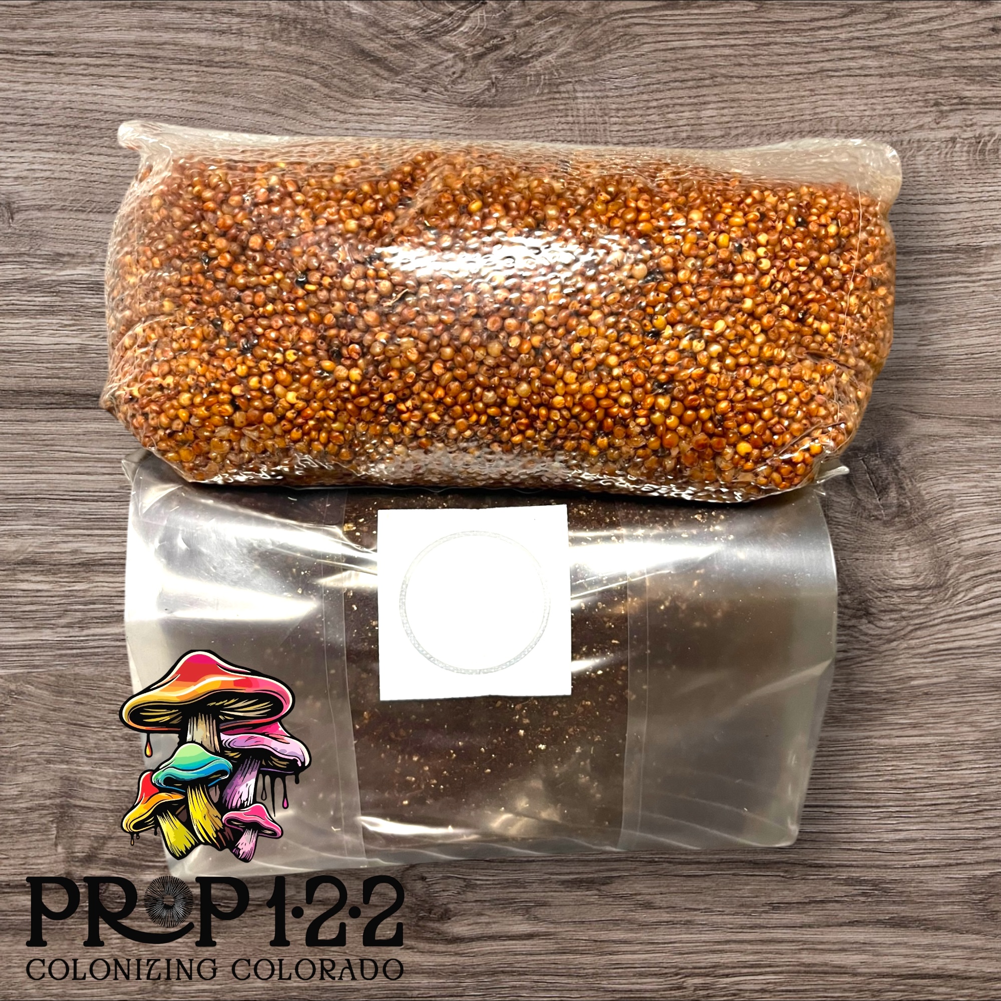 Garden of the Mycogods Monotub Refill Kit